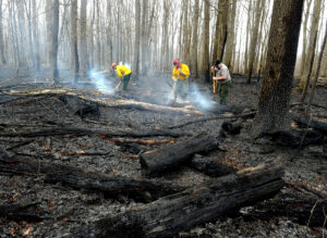 Officials investigating origins of brush fire at Coopers Rock State Forest